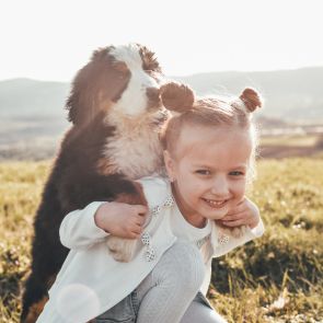 Mini Bernese Pup with happy girl